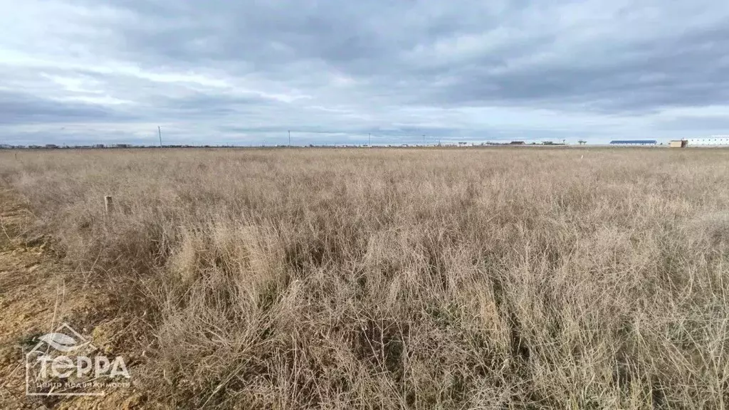Участок в Крым, Сакский район, Молочненское с/пос, с. Витино ул. ... - Фото 1