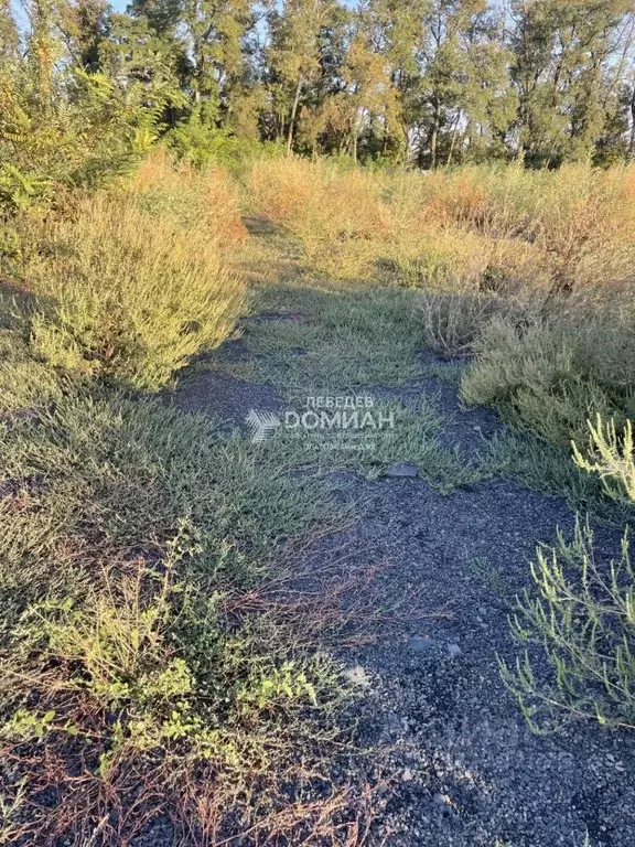 Участок в Ростовская область, Аксайский район, Мишкинское с/пос, ... - Фото 2