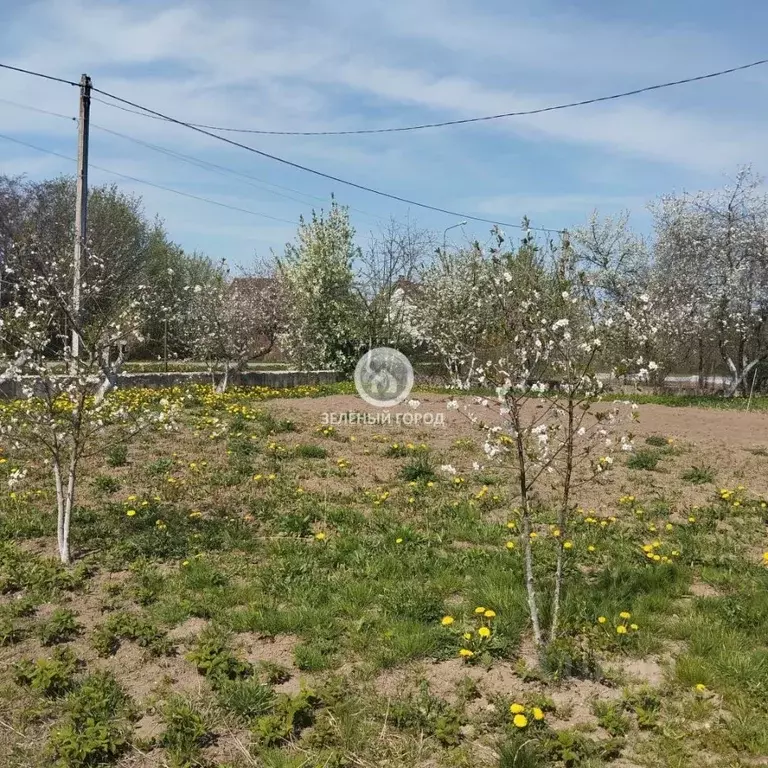 Дом в Калининградская область, Гурьевский муниципальный округ, пос. ... - Фото 2