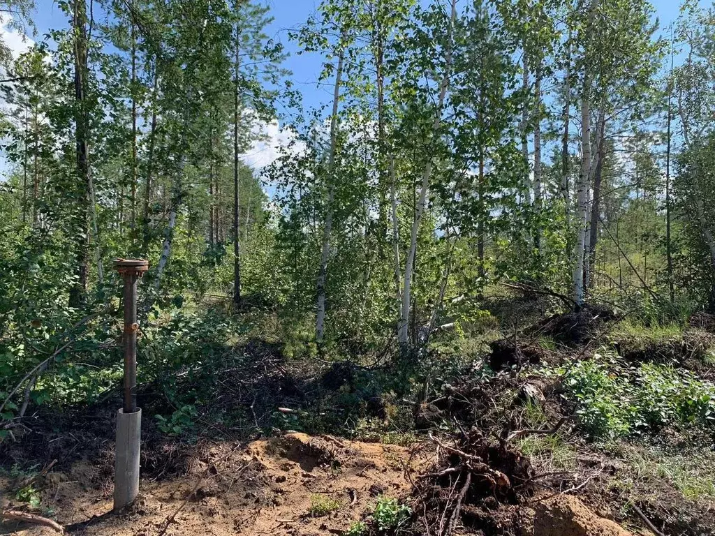 Участок в Саха (Якутия), Мегино-Кангаласский улус, Нижний Бестях пгт ... - Фото 2