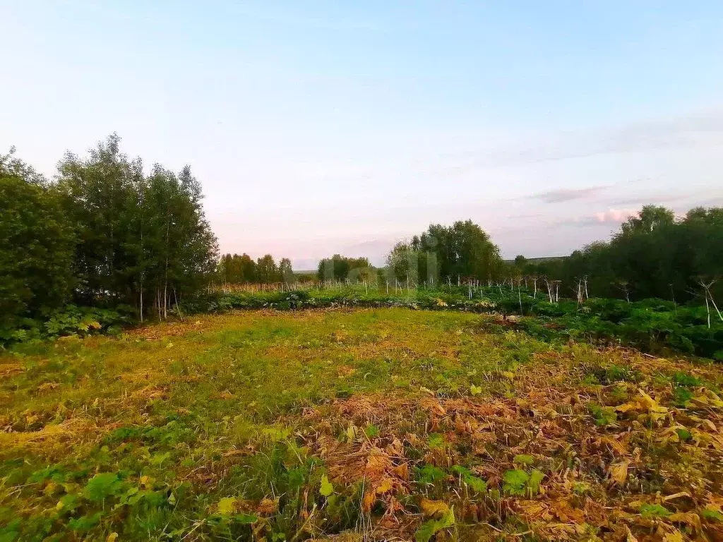 Участок в Коми, Сыктывдинский район, Пажга муниципальное образование, ... - Фото 1