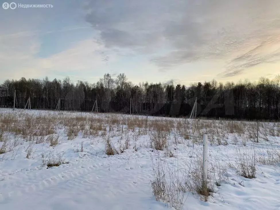 Участок в Тюменский район, деревня Падерина (8.1 м) - Фото 1