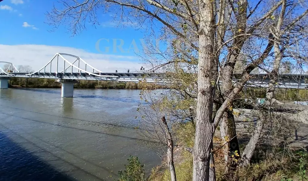 Участок в Алтайский край, Советский район, с. Платово Набережная ул., ... - Фото 1