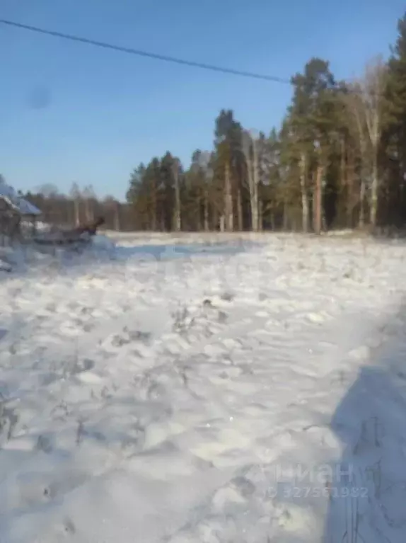 Участок в Алтай, Турочакский район, с. Верх-Бийск ул. Заимка Кузенская ... - Фото 1