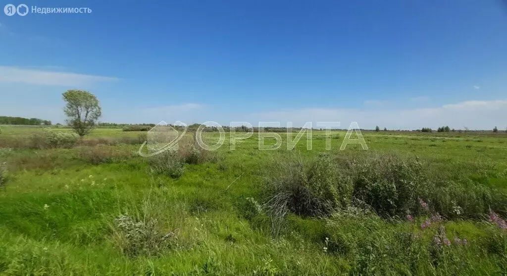 Участок в Тюменский район, село Борки (100 м) - Фото 1