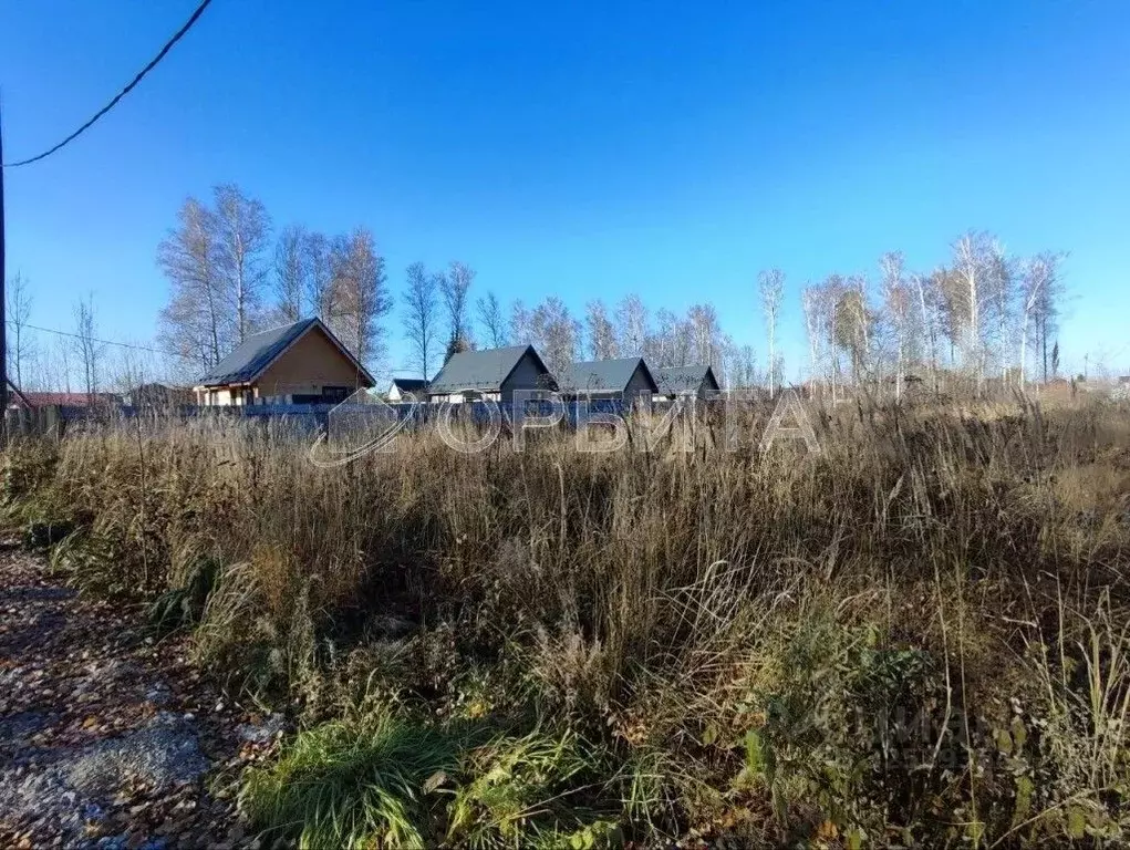 Участок в Тюменская область, Нижнетавдинский муниципальный округ, ... - Фото 1