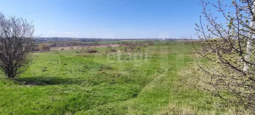 Участок 15 сот. (личное подсобное хозяйство (лпх)) - Фото 0