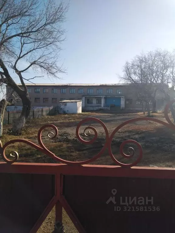 Помещение свободного назначения в Челябинская область, Чесменский ... - Фото 1