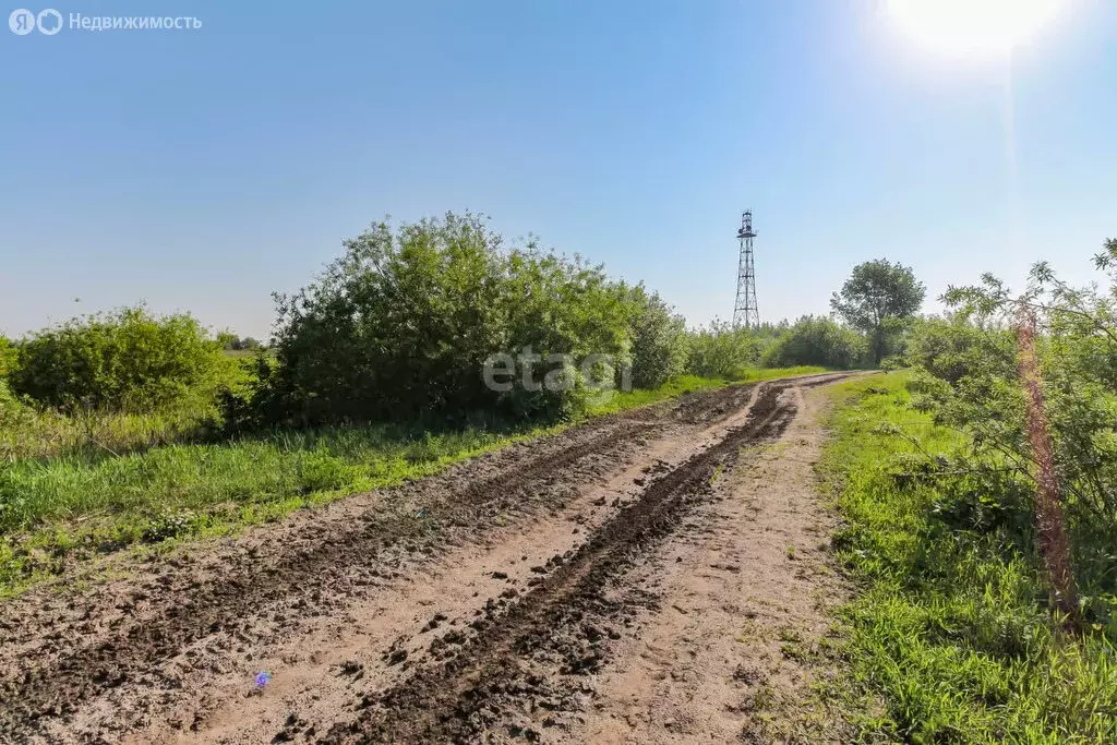 Участок в Тюменский район, село Борки (11.5 м) - Фото 1