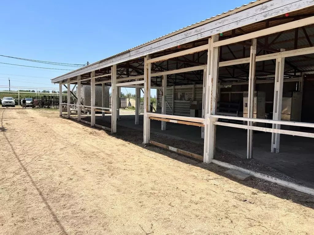 Участок в Краснодарский край, Темрюкский район, Ахтанизовское с/пос, ... - Фото 2