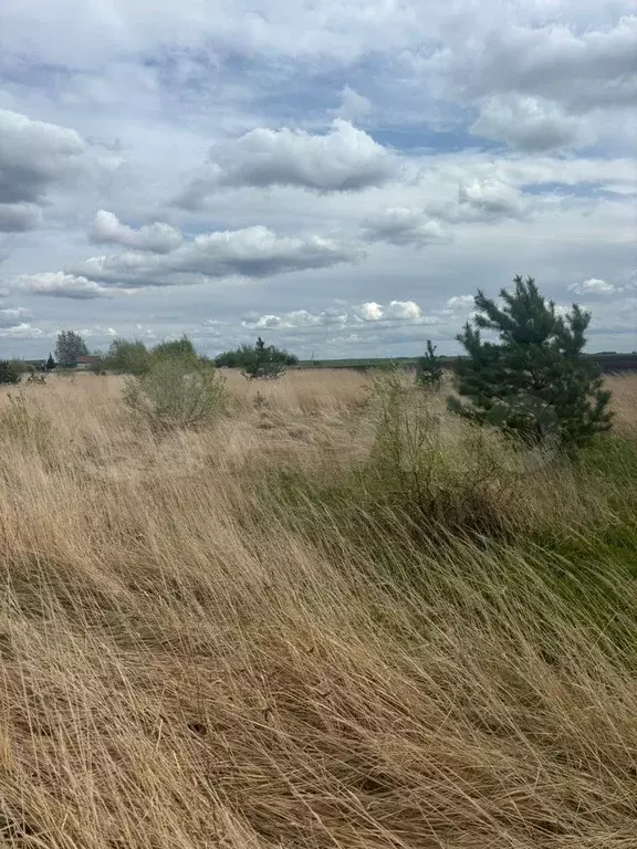 Участок 10,4 сот. (ИЖС) - Фото 0