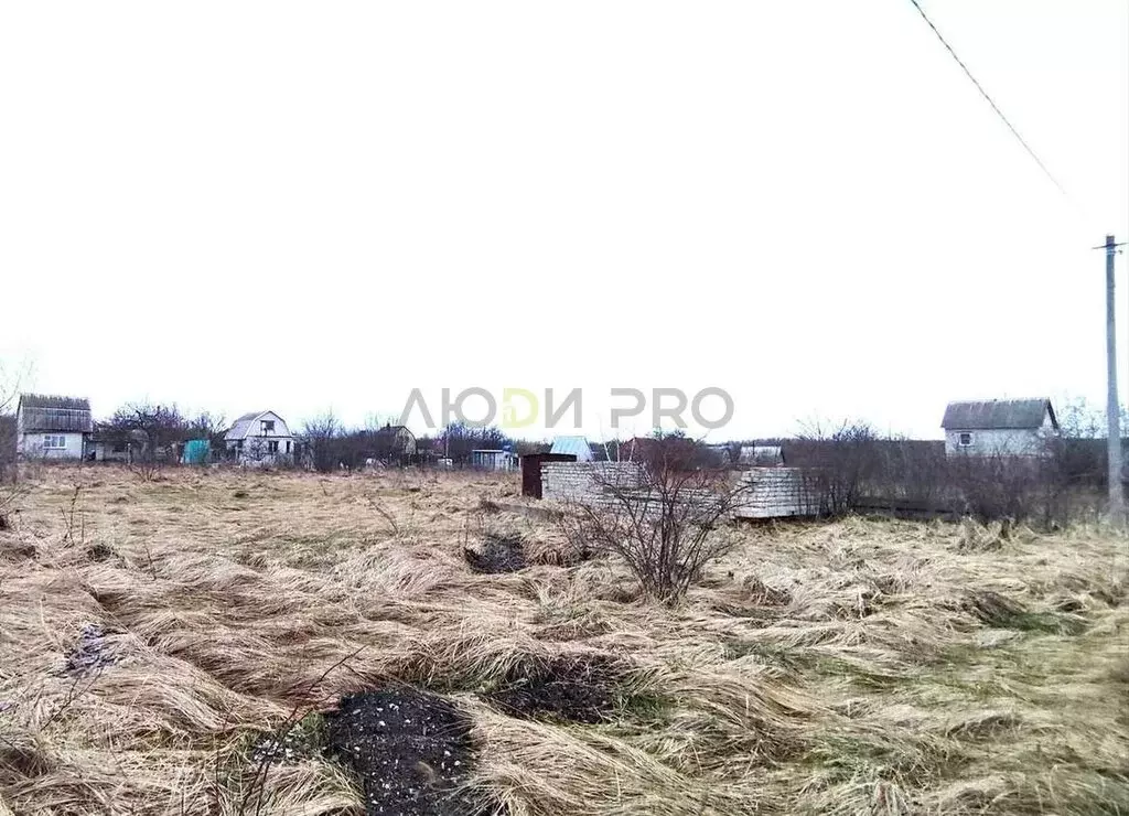 Участок в Семилукский район, Девицкое сельское поселение, СНТ Ветеран, ... - Фото 2