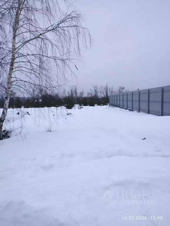 Участок в Воронежская область, Воронеж ул. Черничная, 44 (10.0 сот.) - Фото 2