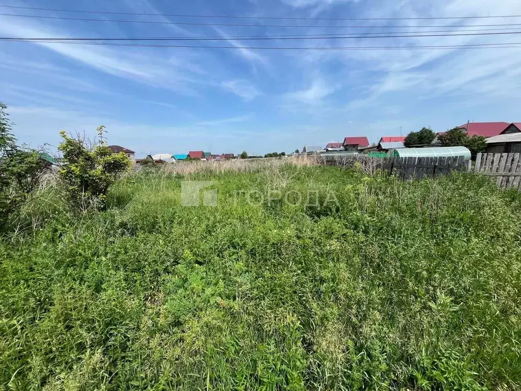 Участок в Новосибирская область, Коченево рп ул. Аргунова, 130 (8.3 ... - Фото 0