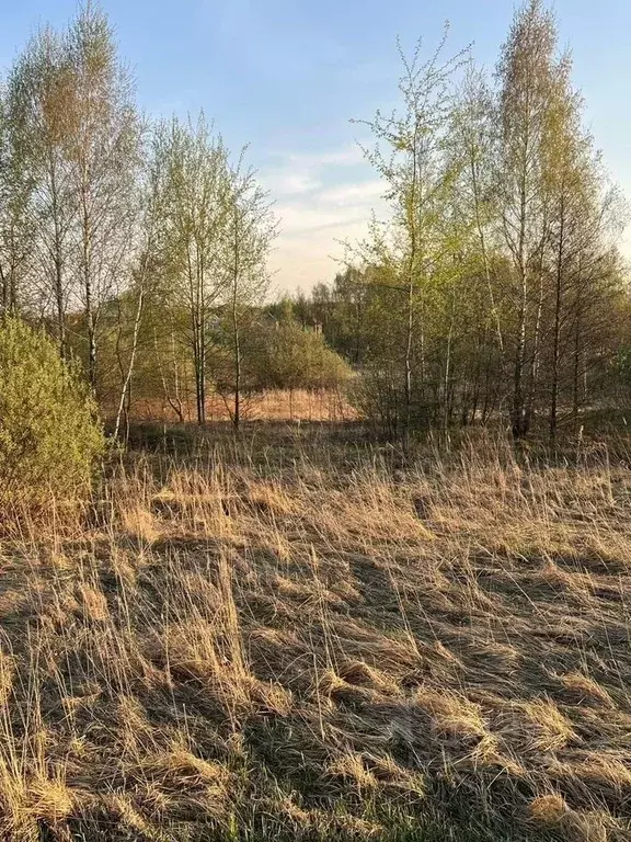 Участок в Московская область, Раменский муниципальный округ, д. ... - Фото 2