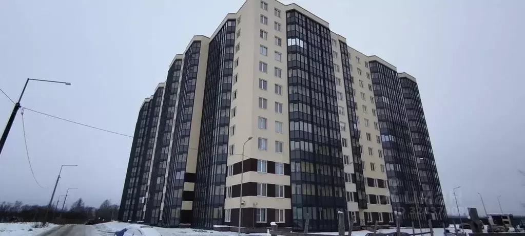 Студия Ленинградская область, Ломоносовский район, Аннинское городское ... - Фото 1