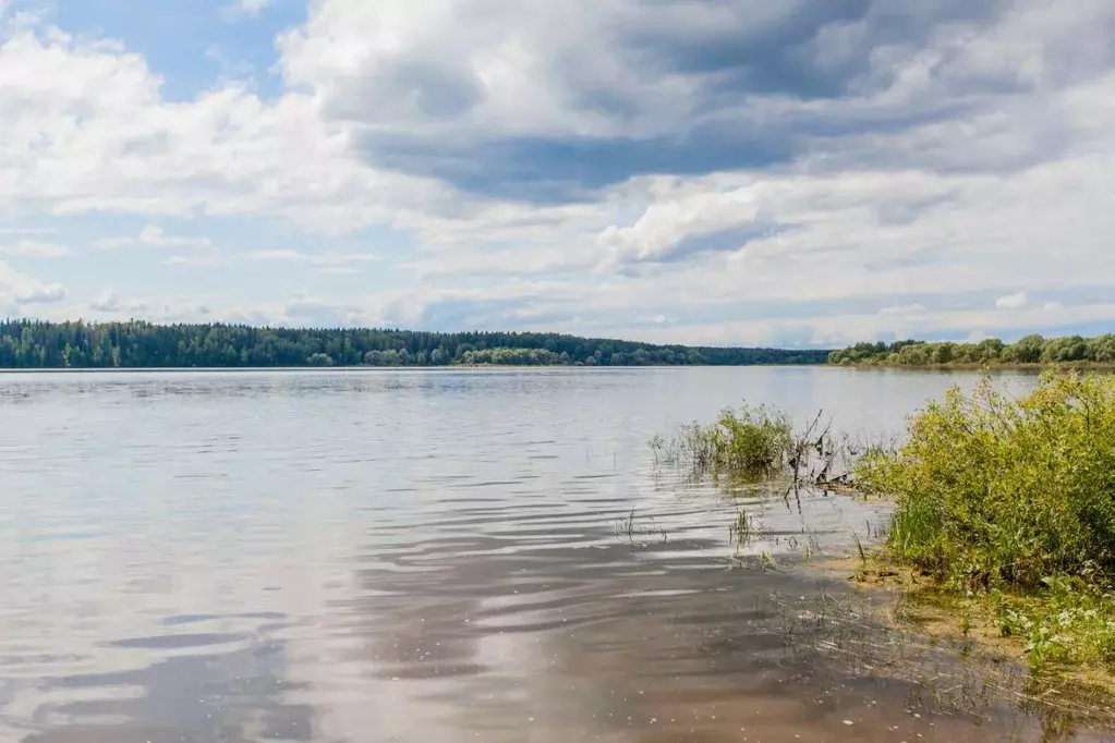Участок, 200 сот., фермерское хоз-во - Фото 1