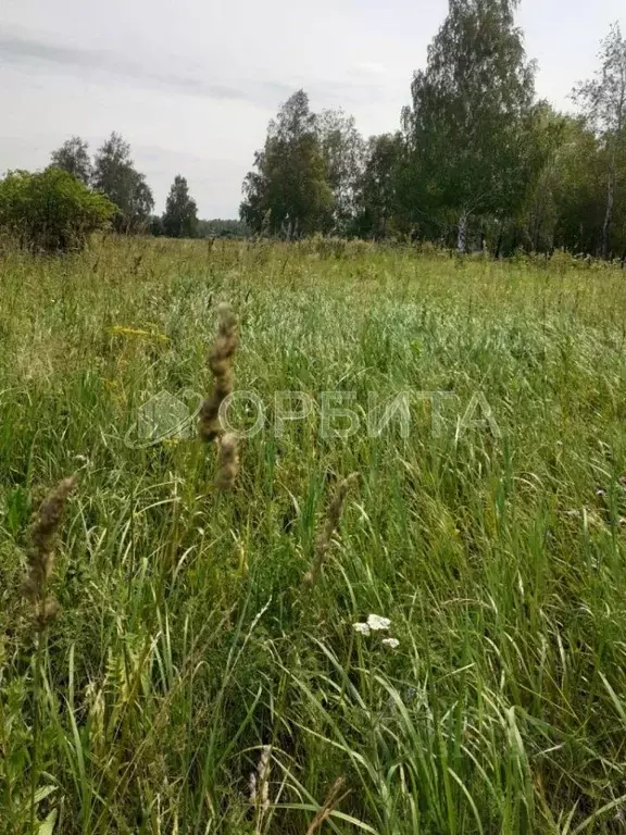 Участок в Тюменская область, Ялуторовский район, Тугарское ДНТ  (20.0 ... - Фото 1