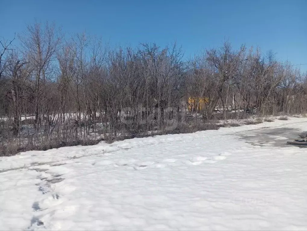 Участок в Белгородская область, Губкин Горняк-Мичуринец СТ,  (7.18 ... - Фото 1