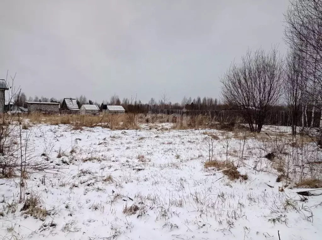 Участок в Свердловская область, Нижний Тагил Ольховский СТ,  (12.6 ... - Фото 0