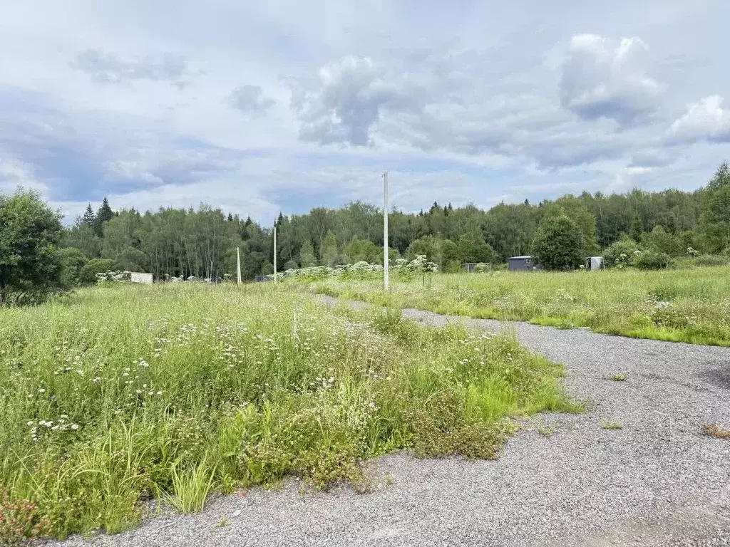 Участок в Калужская область, Боровский муниципальный округ, Ворсино ... - Фото 2