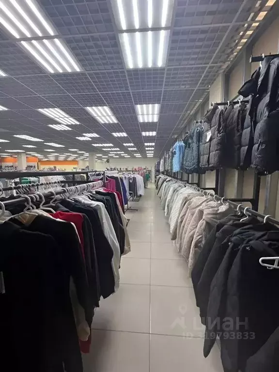 Торговая площадь в Новосибирская область, Новосибирск пл. Карла ... - Фото 0