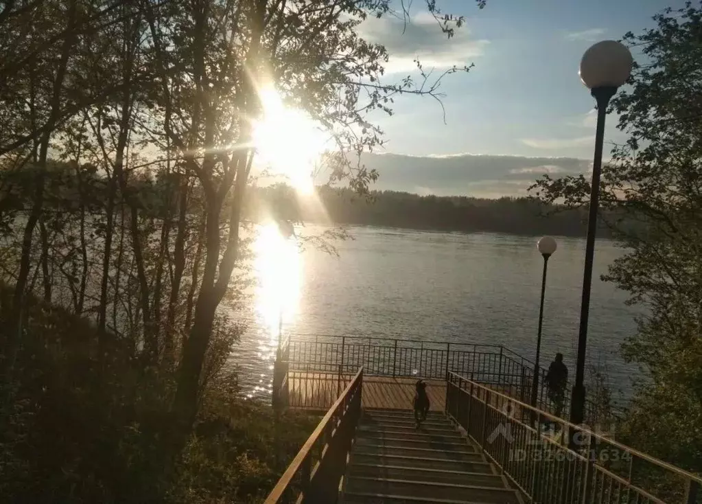 1-к кв. Ленинградская область, Отрадное Кировский район, Невская ул., ... - Фото 1