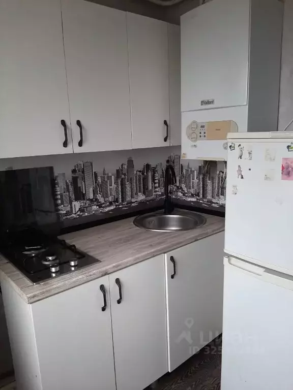 2-к кв. Псковская область, Псков Завеличье исторический район, ул. ... - Фото 1