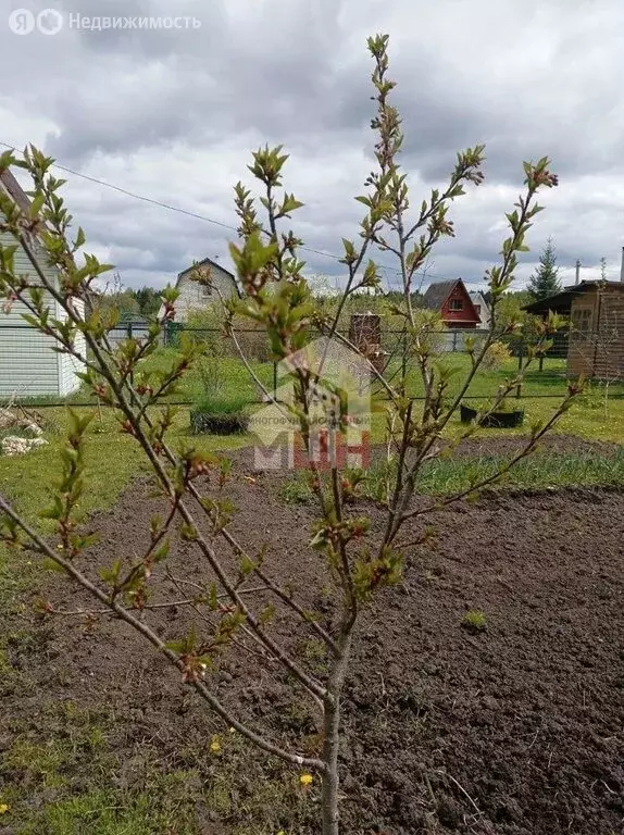 Дом в Тверская область, Конаковский муниципальный округ, СНТ Прогресс ... - Фото 1
