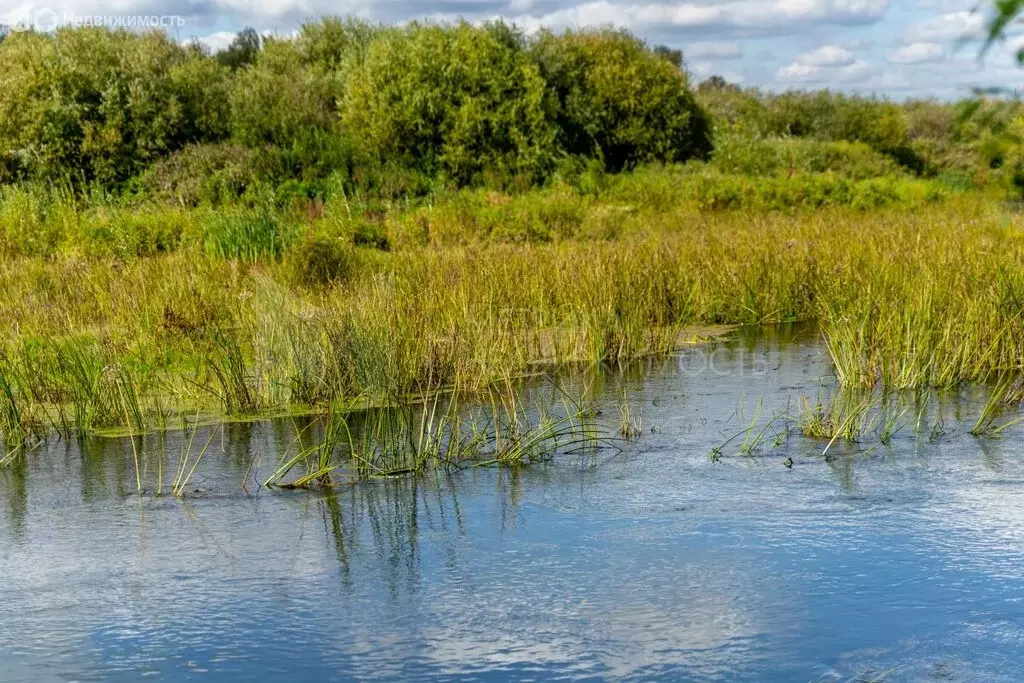 Участок в Тюменский район, село Борки (93.5 м) - Фото 0