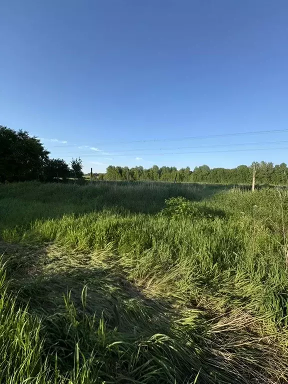 Участок в Новосибирская область, Мошковский район, Барлакский ... - Фото 2