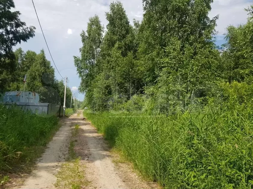 Участок 10 сот. (СНТ, ДНП) - Фото 0
