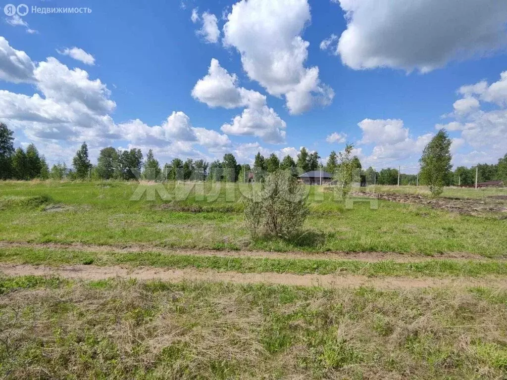 Участок в Новосибирский район, село Верх-Тула (8.09 м) - Фото 1