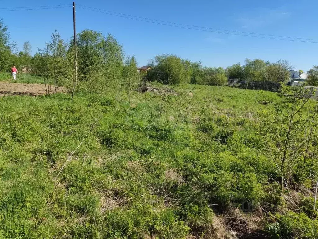 Участок в Вологодская область, Репка садоводческое товарищество  (7.82 ... - Фото 1