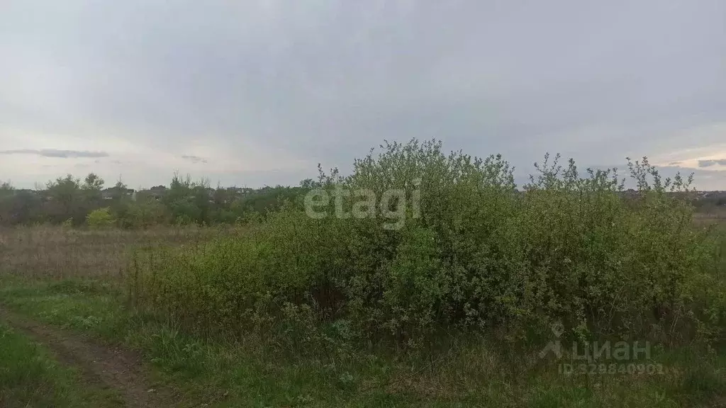 Участок в Белгородская область, Белгородский район, Ериковское с/пос, ... - Фото 1