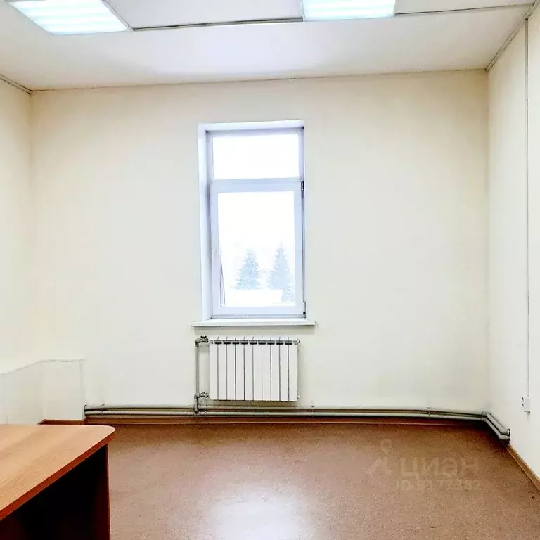 Офис в Алтайский край, Барнаул ул. Льва Толстого, 20В (20 м) - Фото 0