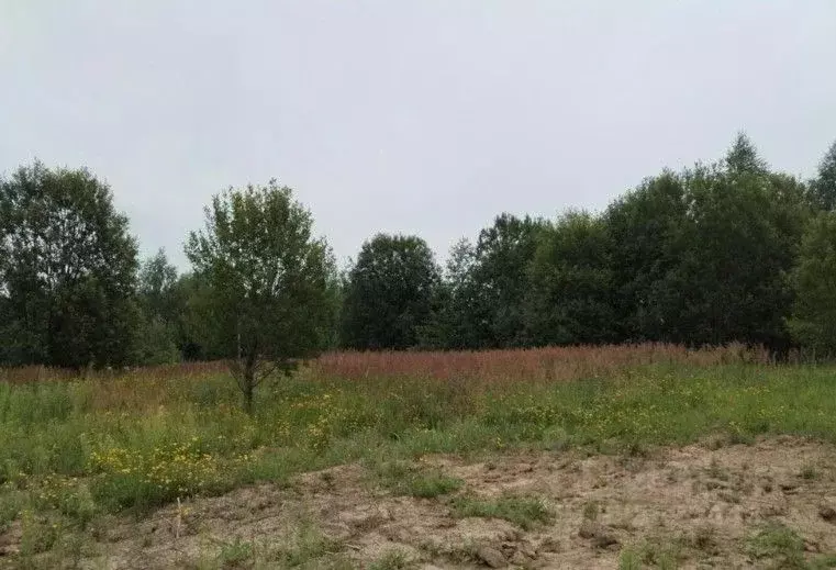 Участок в Московская область, Дмитровский муниципальный округ, с. ... - Фото 1