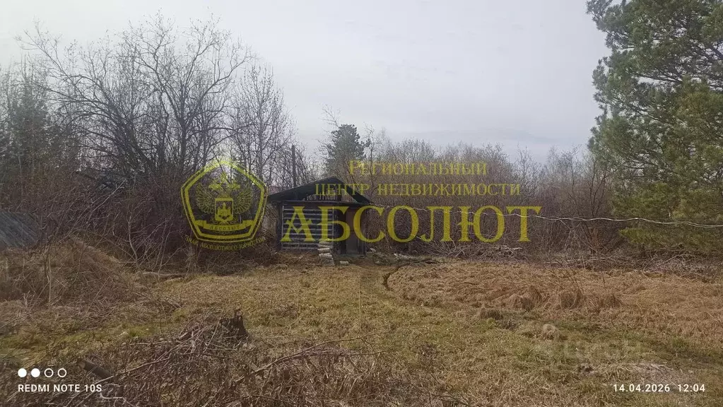 Дом в Свердловская область, Дегтярск Зеленая ул., 8А (26 м) - Фото 2