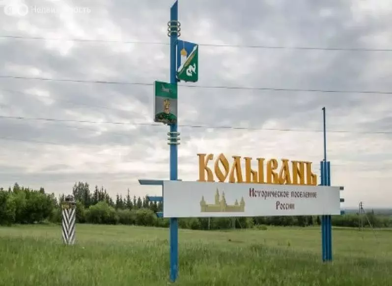 Участок в Колыванский район, деревня Малый Оеш (8 м) - Фото 0