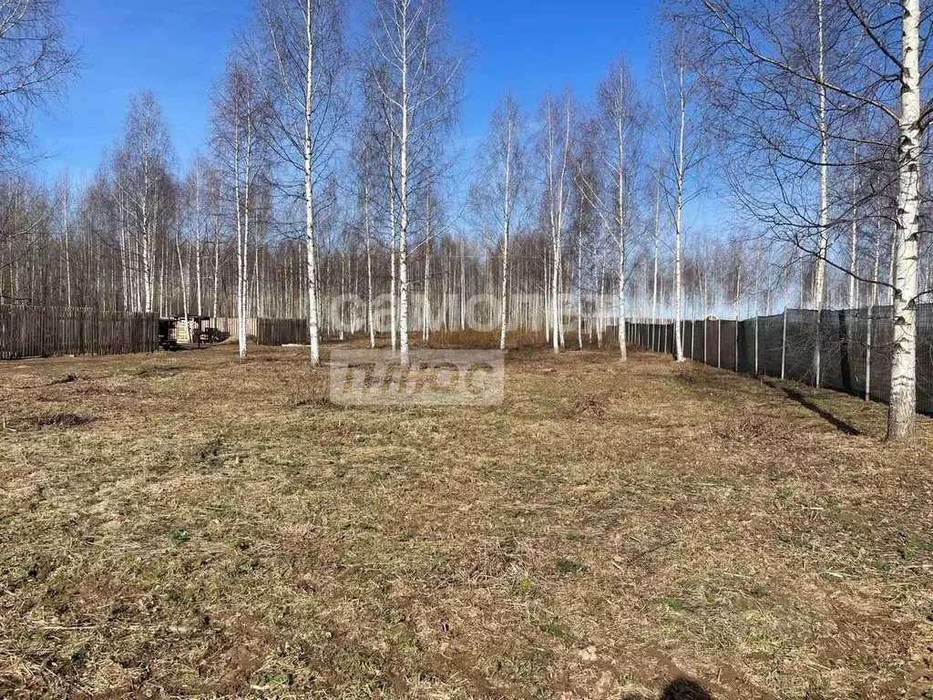 Участок в Пермский край, Добрянский городской округ, д. Залесная ул. ... - Фото 0