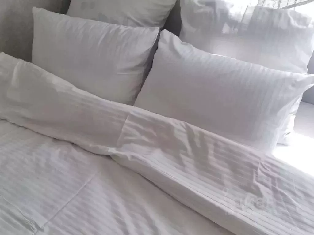 2-к кв. Ярославская область, Ярославль ул. Володарского, 4 (30.0 м) - Фото 2