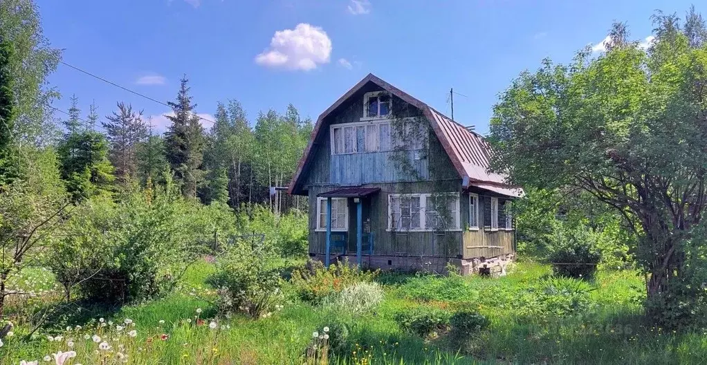 Дом в Ленинградская область, Выборгский район, Гончаровское с/пос, ... - Фото 0