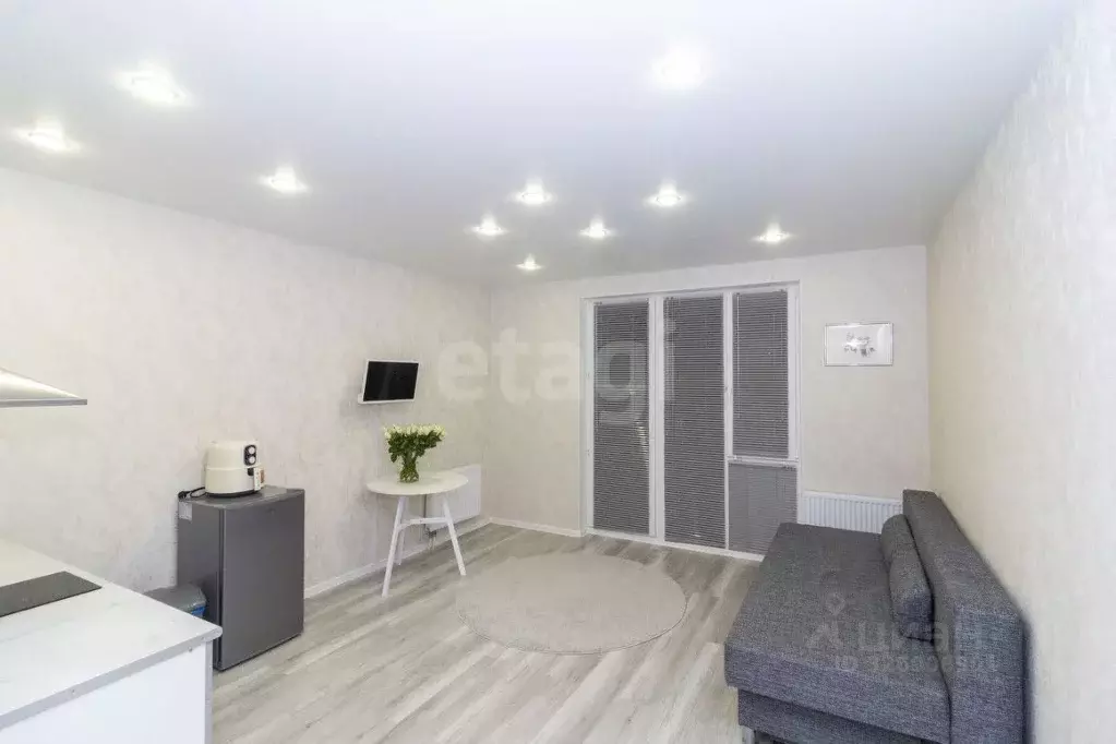 Студия Тюменская область, Тюменский муниципальный округ, д. Патрушева ... - Фото 1