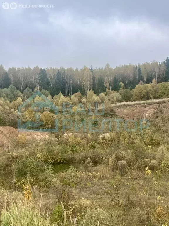 Участок в Калужская область, Боровский муниципальный округ, деревня ... - Фото 1
