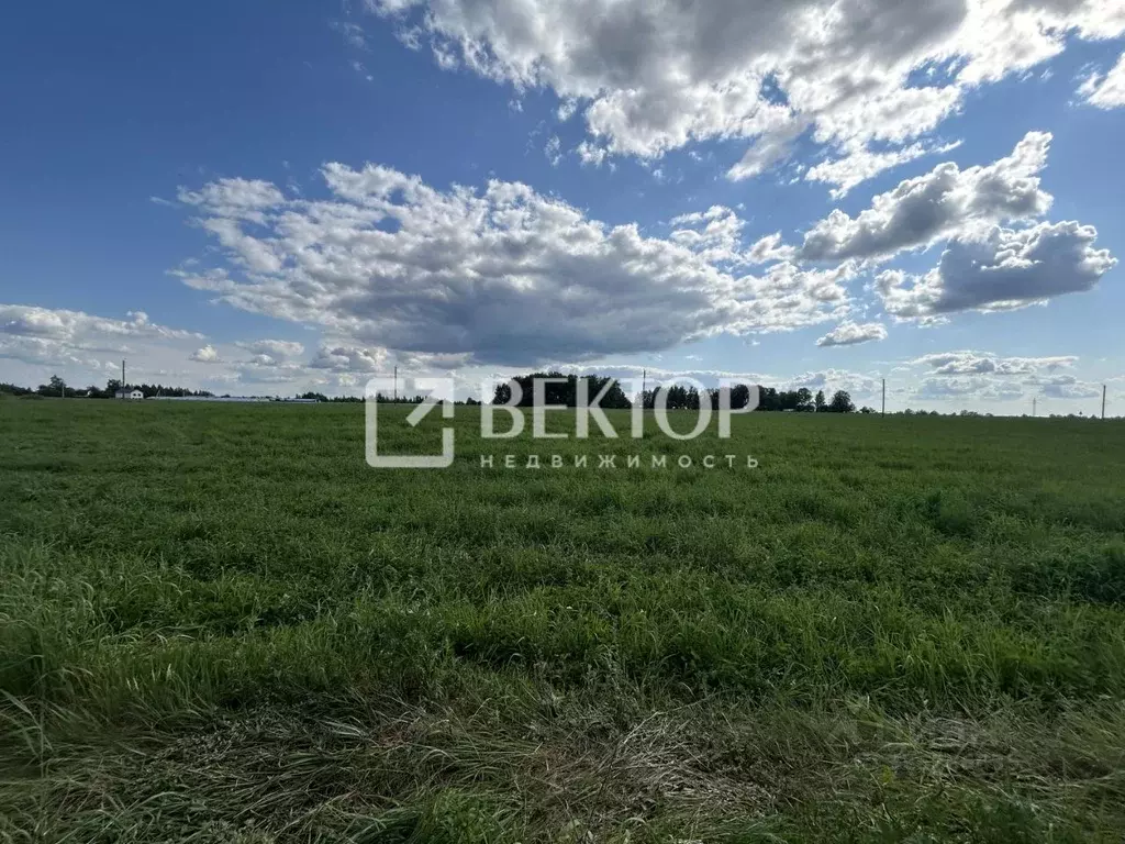 Участок в Костромская область, Костромской район, Шунгенское с/пос, д. ... - Фото 1