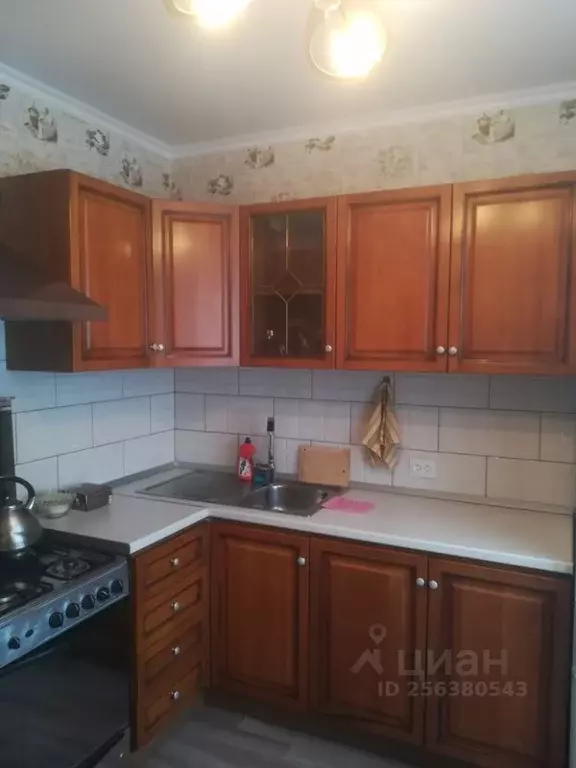 1-к кв. Липецкая область, Елец ул. Спутников, 1А (34.0 м) - Фото 0