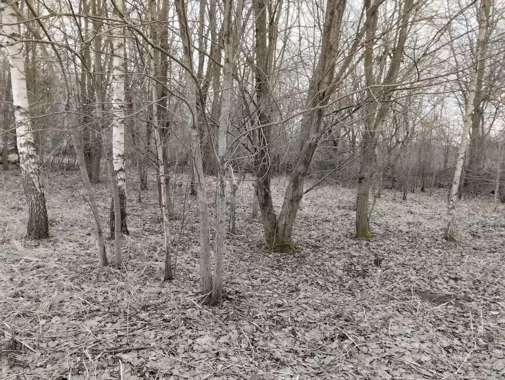 Участок в Смоленская область, Смоленск ш. Рославльское, 7 (1150.0 ... - Фото 2