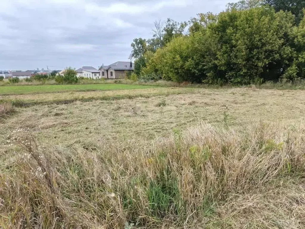 Участок в Курская область, Курский район, Рышковский сельсовет, ... - Фото 1