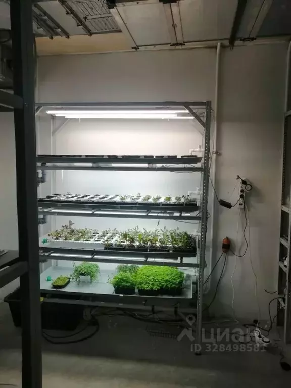 Помещение свободного назначения в Саха (Якутия), Нерюнгри ул. ... - Фото 2