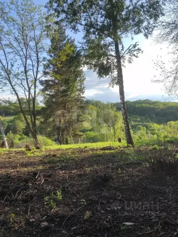 Участок в Белгородская область, Белгородский район, Тавровское с/пос, ... - Фото 1
